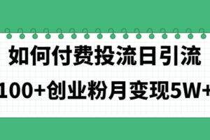 （11155期）如何通过付费投流日引流100+创业粉月变现5W+