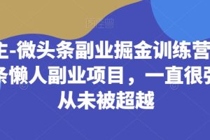 黄岛主-微头条副业掘金训练营6.0，微头条懒人副业项目，一直很强大，从未被超越