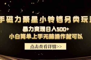 （9689期）快手磁力聚星小铃铛另类玩法，暴力变现日入500+小白简单上手无脑操作就可以