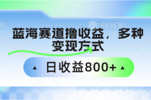 蓝海赛道撸收益，多种变现方式，日收益800+