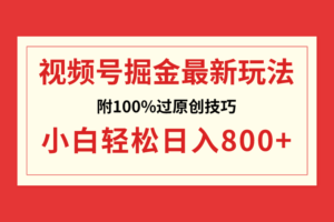 （8826期）视频号掘金，小白轻松日入800+（附100%过原创技巧）