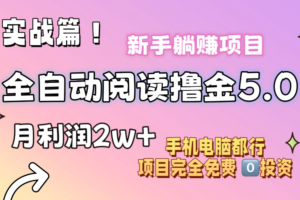 （11578期）小说全自动阅读撸金5.0 操作简单 可批量操作 零门槛！小白无脑上手月入2w+