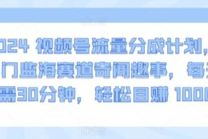 2024视频号流量分成计划，冷门监海赛道奇闻趣事，每天只需30分钟，轻松目赚 1000+【揭秘】