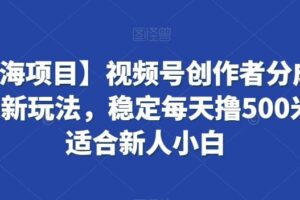 【蓝海项目】视频号创作者分成掘金最新玩法，稳定每天撸500米，适合新人小白【揭秘】