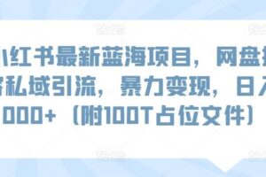 小红书最新蓝海项目，网盘扩容私域引流，暴力变现，日入1000+（附100T占位文件）【揭秘】