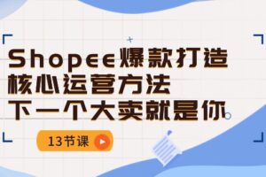 （10777期）Shopee-爆款打造核心运营方法，下一个大卖就是你（13节课）