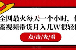 全网最火每天一个小时，借鉴视频带货月入几W很轻松【揭秘】