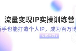 流量变现IP实操训练营：新手也能打造个人IP，成为百万 博主（46节课）