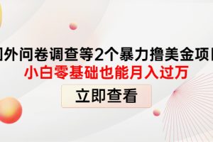 （4062期）国外问卷调查等2个暴力撸美金项目，小白零基础也能月入过万