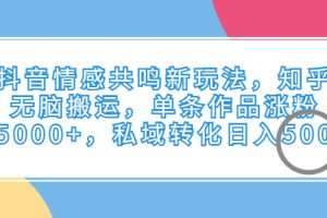 （6758期）抖音情感共鸣新玩法，知乎无脑搬运，单条作品涨粉5000+，私域转化日入500