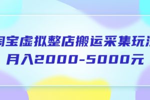 （5931期）淘宝虚拟整店搬运采集玩法分享课：月入2000-5000元（5节课）