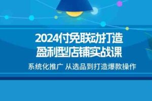 2024付免联动打造盈利型店铺实战课，系统化推广 从选品到打造爆款操作