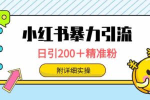 （9582期）小红书暴力引流大法，日引200＋精准粉，一键触达上万人，附详细实操