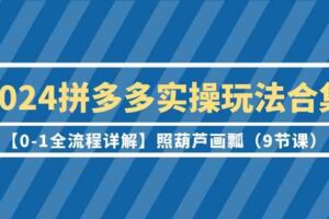 （9559期）2024拼多多实操玩法合集【0-1全流程详解】照葫芦画瓢（9节课）