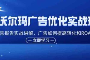 沃尔玛广告优化实战班，广告报告实战讲解，广告如何提高转化和ROAS等