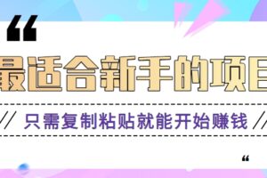 2024最适合新手操作的项目，新手小白只需复制粘贴就能开始赚钱【视频教程+软件】