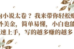 国内小说太卷？带你轻松赚取老外美金，简单易懂小白也能快速上手，写的越多赚的越多