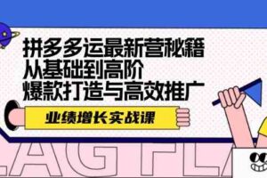 拼多多运最新营秘籍：业绩增长实战课，从基础到高阶，爆款打造与高效推广