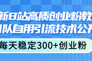 （11661期）最新B站高质创业粉教程，团队自用引流技术公开，每天稳定300+创业粉