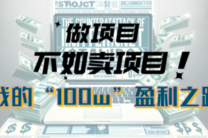 （10930期）为什么做项目不如卖项目？我的100W+盈利之路