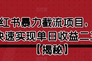 小红书暴力截流项目，新手快速实现单日收益二三百【仅揭秘】