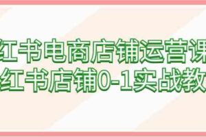 （9249期）小红书电商店铺运营课程，小红书店铺0-1实战教学（60节课）