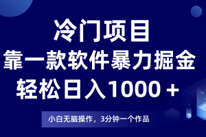 冷门项目靠一款软件，暴力掘金日入1000＋，小白轻松上手