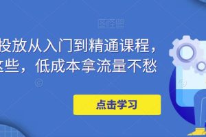 （4920期）万相台投放·新手到精通课程，学会这些，低成本拿流量不愁！