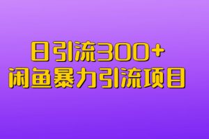 （6694期）日引流300+闲鱼暴力引流项目