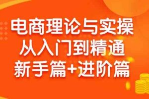 （9576期）电商理论与实操从入门到精通 新手篇+进阶篇