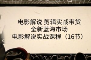 电影解说剪辑实战带货全新蓝海市场，电影解说实战课程（16节）