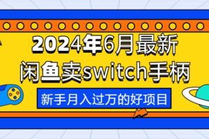 （10831期）2024年6月最新闲鱼卖switch游戏手柄，新手月入过万的第一个好项目