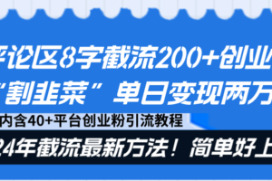 （8771期）评论区8字截流200+创业粉“割韭菜”单日变现两万+24年截流最新方法！