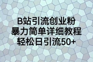 （6639期）B站引流创业粉，暴力简单详细教程，轻松日引流50+