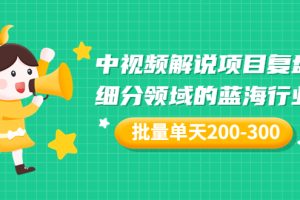 （3241期）某付费文章：中视频解说项目复盘：细分领域的蓝海行业 批量单天200-300收益