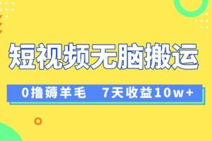 12月最新无脑搬运薅羊毛，7天轻松收益1W，vivo短视频创作收益来袭