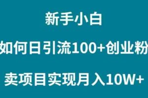 （9556期）新手小白如何通过卖项目实现月入10W+