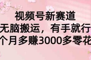 （9278期）视频号新赛道，无脑搬运，有手就行，每个月多赚3000多零花钱