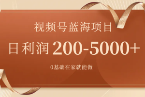 （7585期）视频号蓝海项目，0基础在家也能做，日入200-5000+【附266G资料】