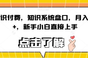 5分钟一个原创作品，小红书最新冷门玩法，简单粗暴，轻松月入1W＋【揭秘】