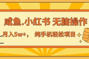 （11524期）2024最赚钱的项目，咸鱼，小红书无脑操作，每单利润500+，轻松月入5万+…