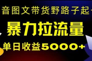 抖音图文带货暴力起号，单日收益5000+，野路子玩法，简单易上手，一部手机即可【揭秘】