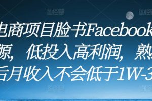 跨境电商项目脸书Facebook商城无货源，低投入高利润，熟练操作后月收入不会低于1W-3W