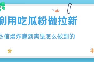 （6668期）利用吃瓜粉做拉新，私信爆炸日入1000+赚到爽是怎么做到的