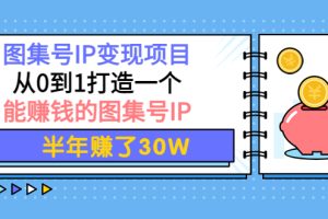 （3972期）图集号IP变现项目：从0到1打造一个能赚钱的图集号IP 半年赚了30W