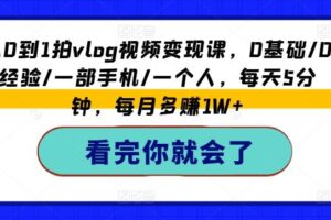 从0到1拍vlog视频变现课，0基础/0经验/一部手机/一个人，每天5分钟，每月多赚1W+