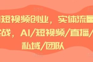 AI短视频创业，实体流量实战，AI/短视频/直播/私域/团队