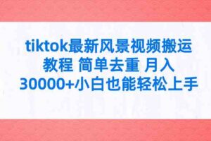 （9804期）tiktok最新风景视频搬运教程 简单去重 月入30000+附全套工具