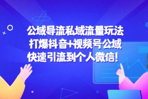 （4416期）公域导流私域流量玩法：打爆抖音+视频号公域，快速引流到个人微信！