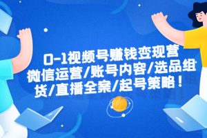 （6340期）0-1视频号赚钱变现营：微信运营-账号内容-选品组货-直播全案-起号策略！